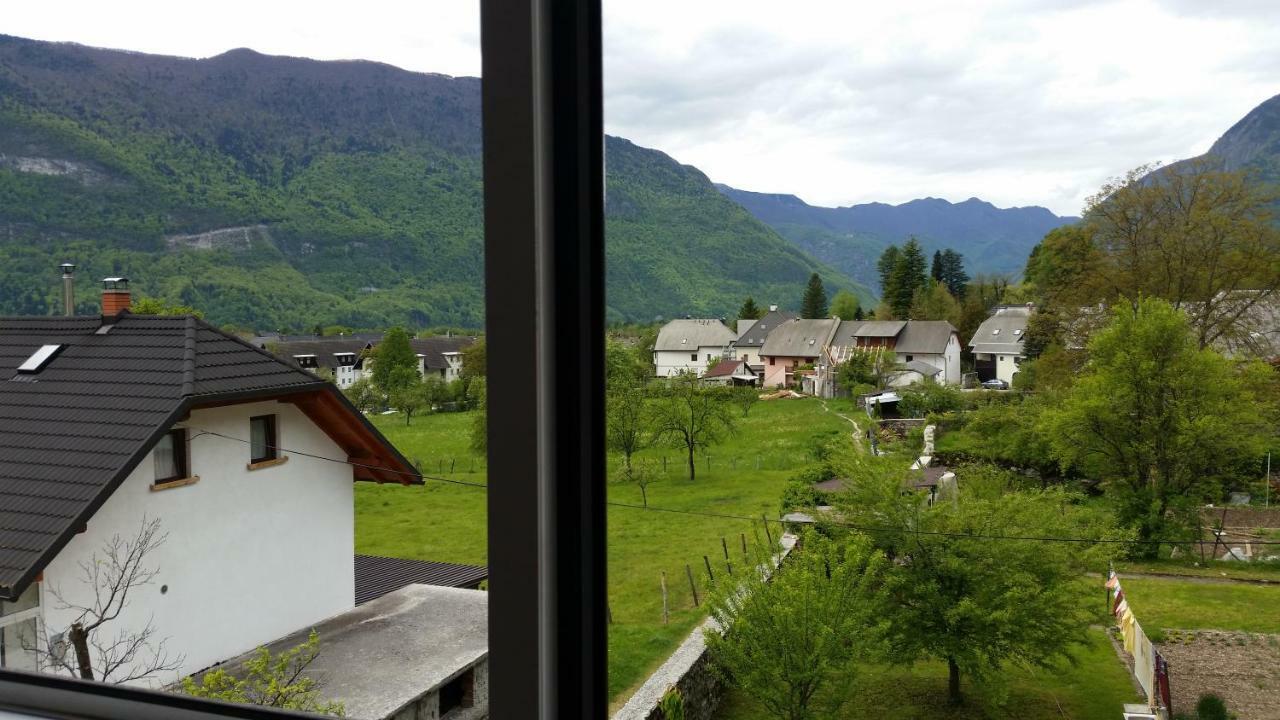 Apartmaji Stari Kovac