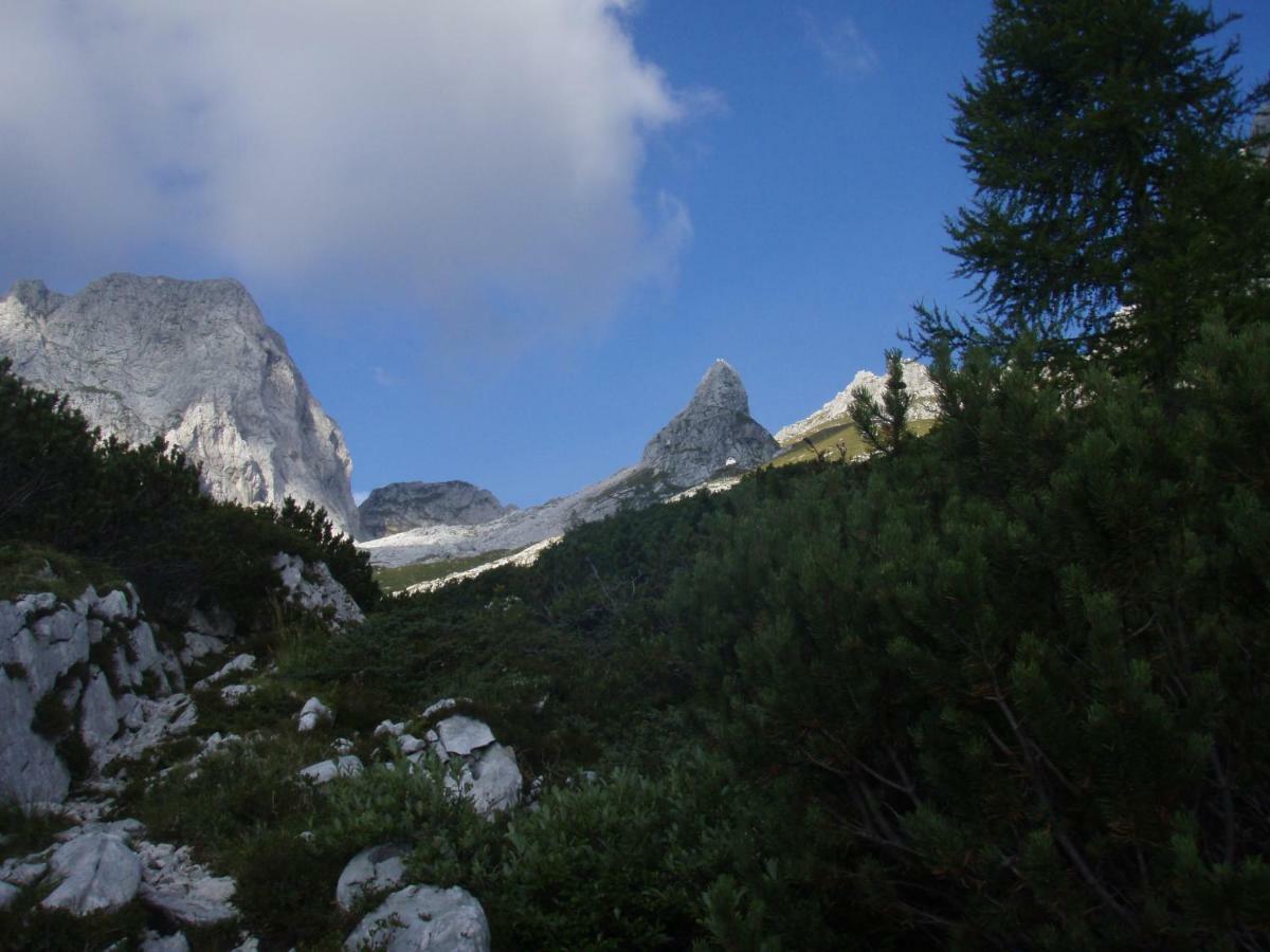 Apartmaji Stari Kovac