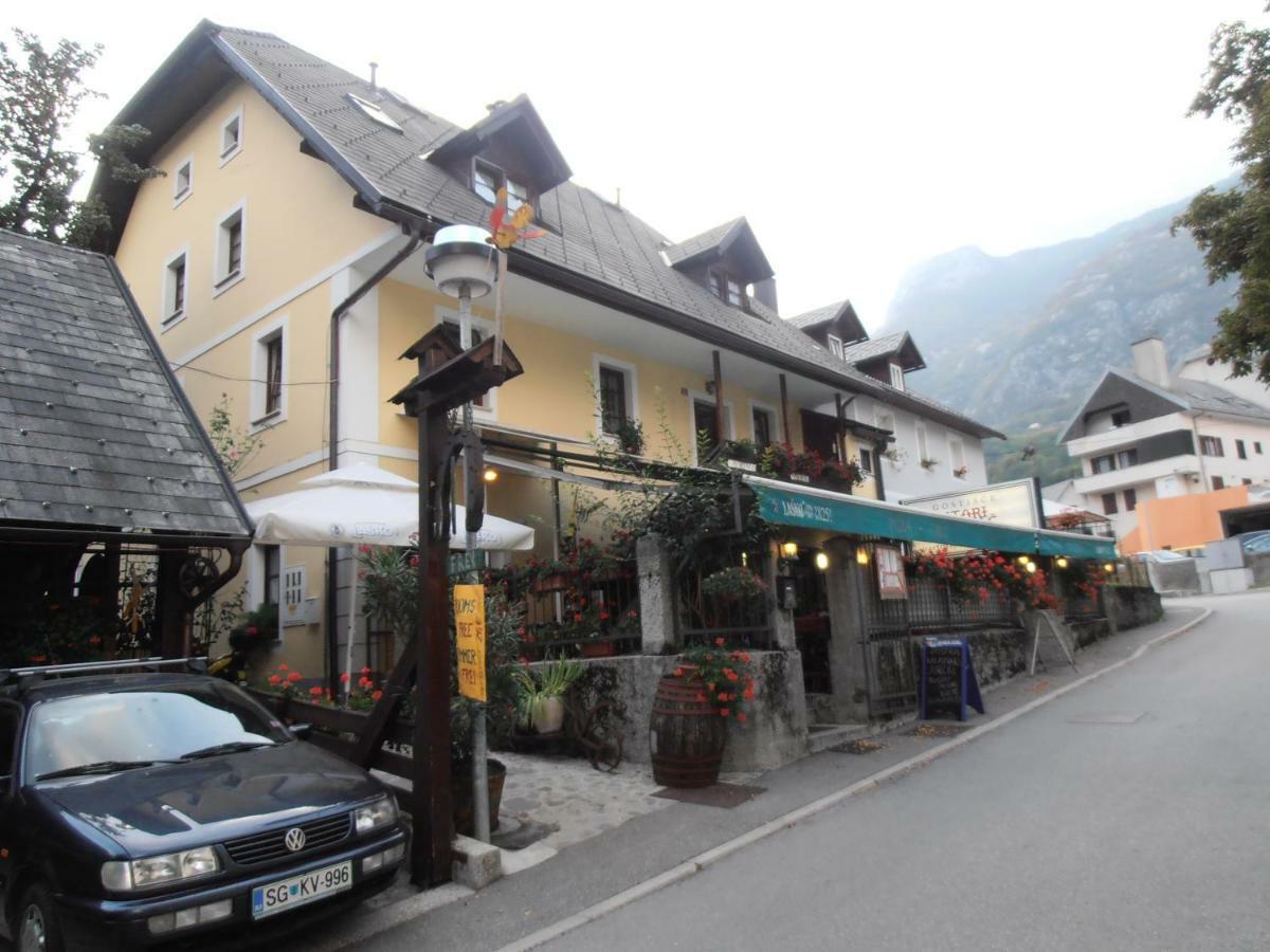 Apartmaji Stari Kovac *